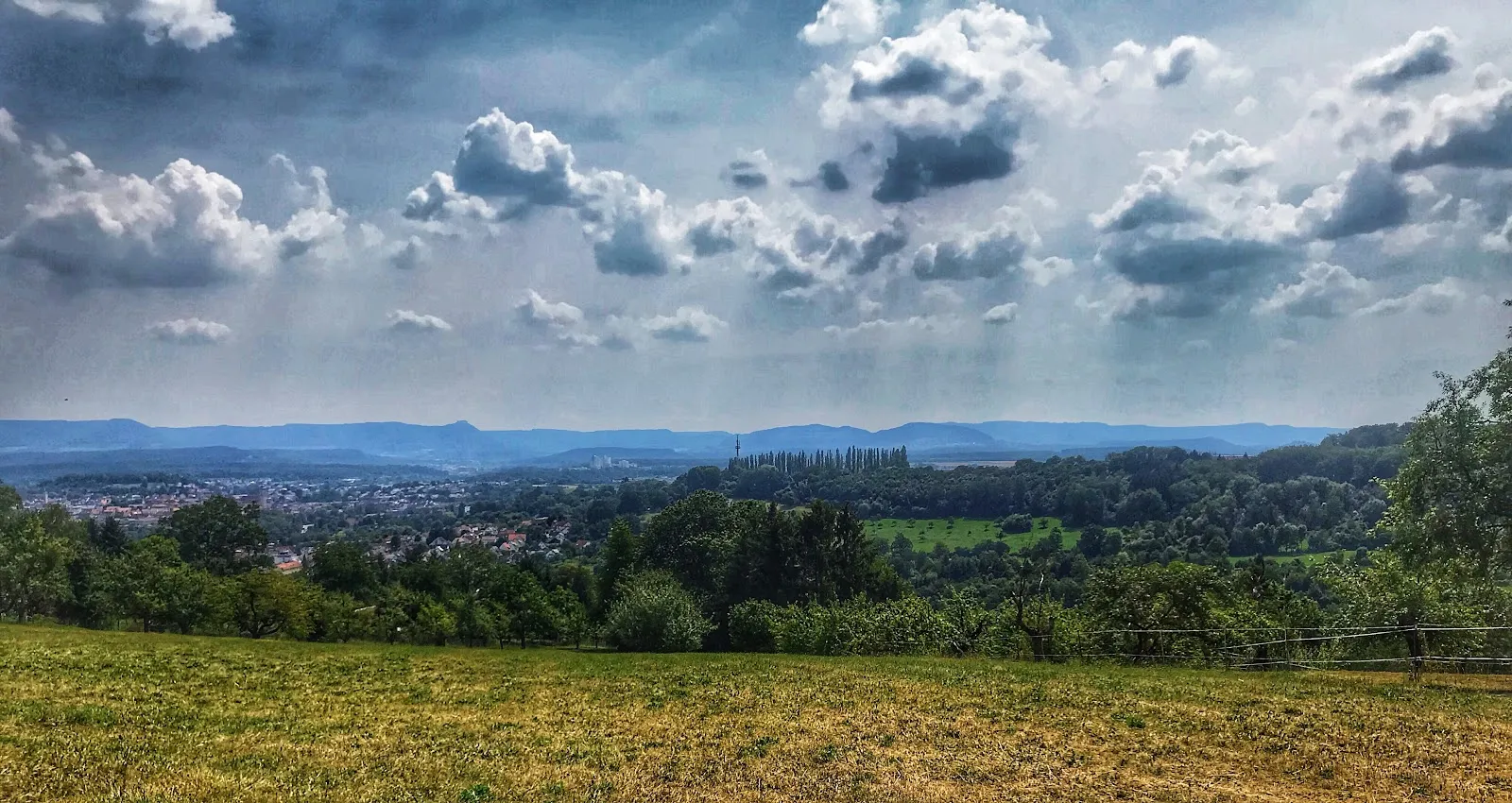 Экспонат из Коллекции Домниников в Нюртинге.