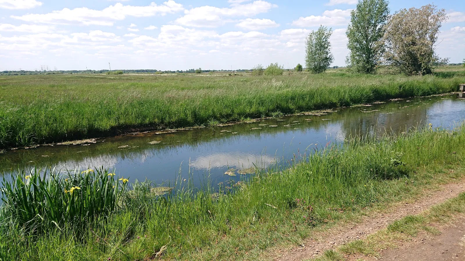 Вид на озеро Кребсшерентайх в Бремене