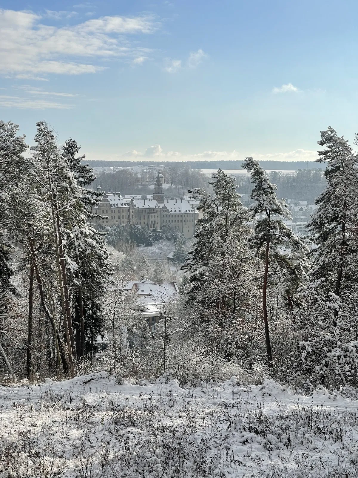 Кригерденкмаль Зигмаринген, Германия, мемориал воинской славы