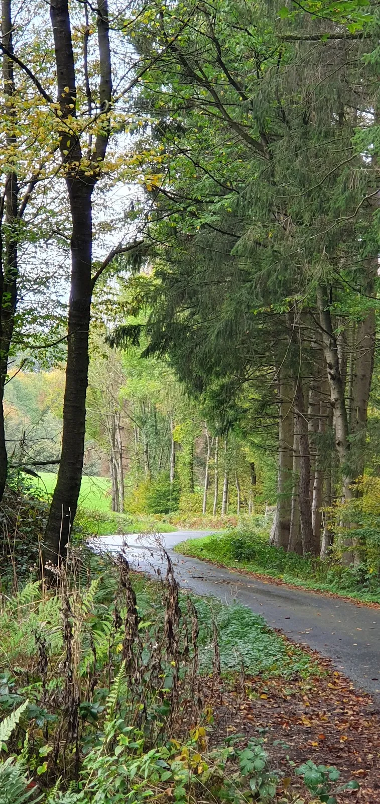 Часовня Кройцкапелле в Мух, Германия