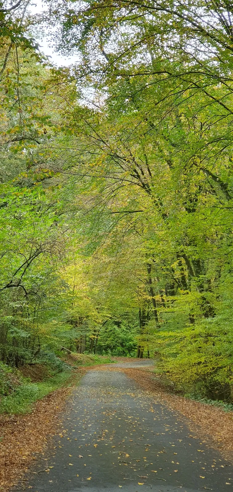 Часовня Кройцкапелле в Мух, Германия