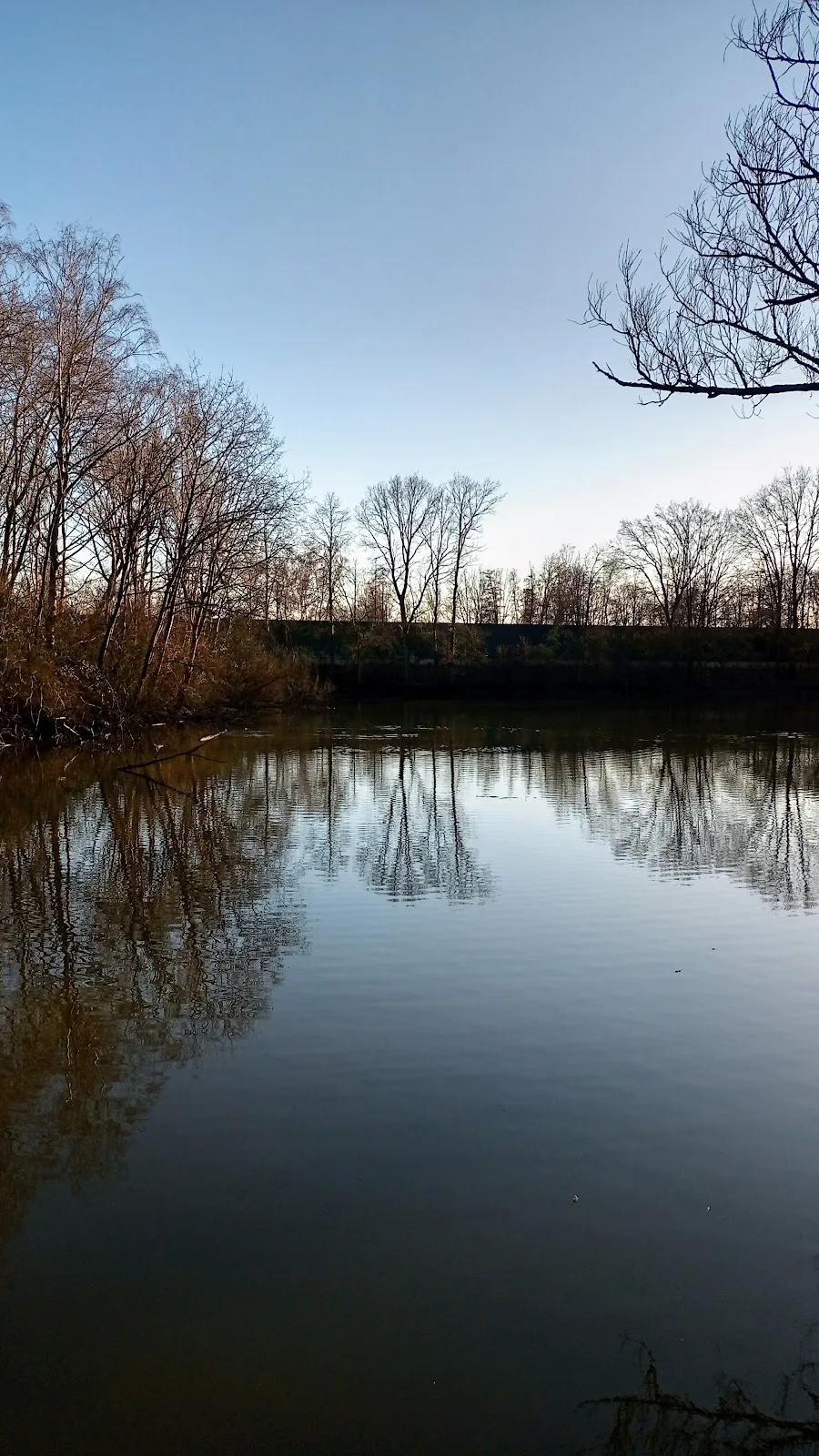 Круммхёрнскуле