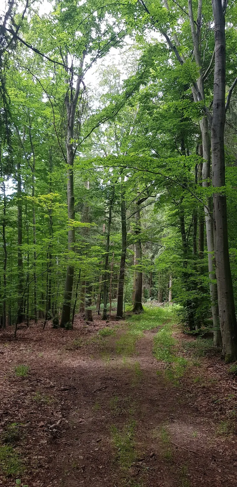 Курцер Вазен – Ротер Вазен