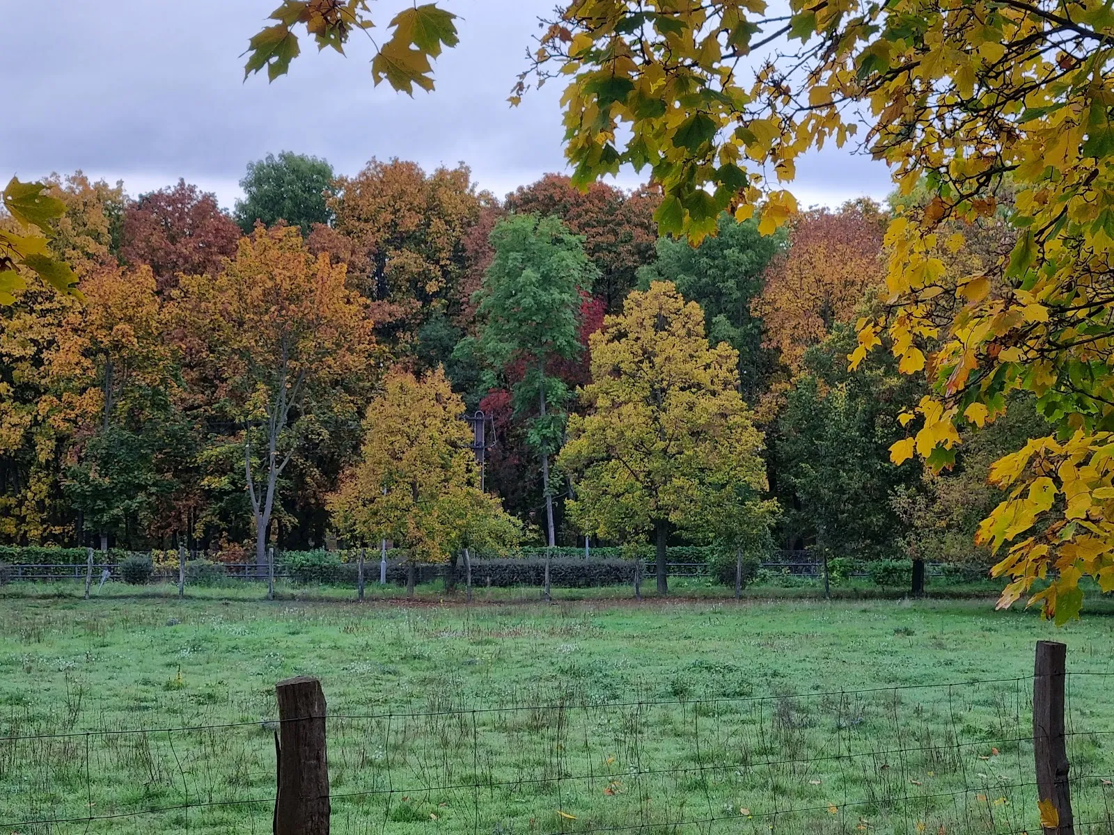 Вид на зеленую поляну в Ландшафтспарк Херцберге, Берлин