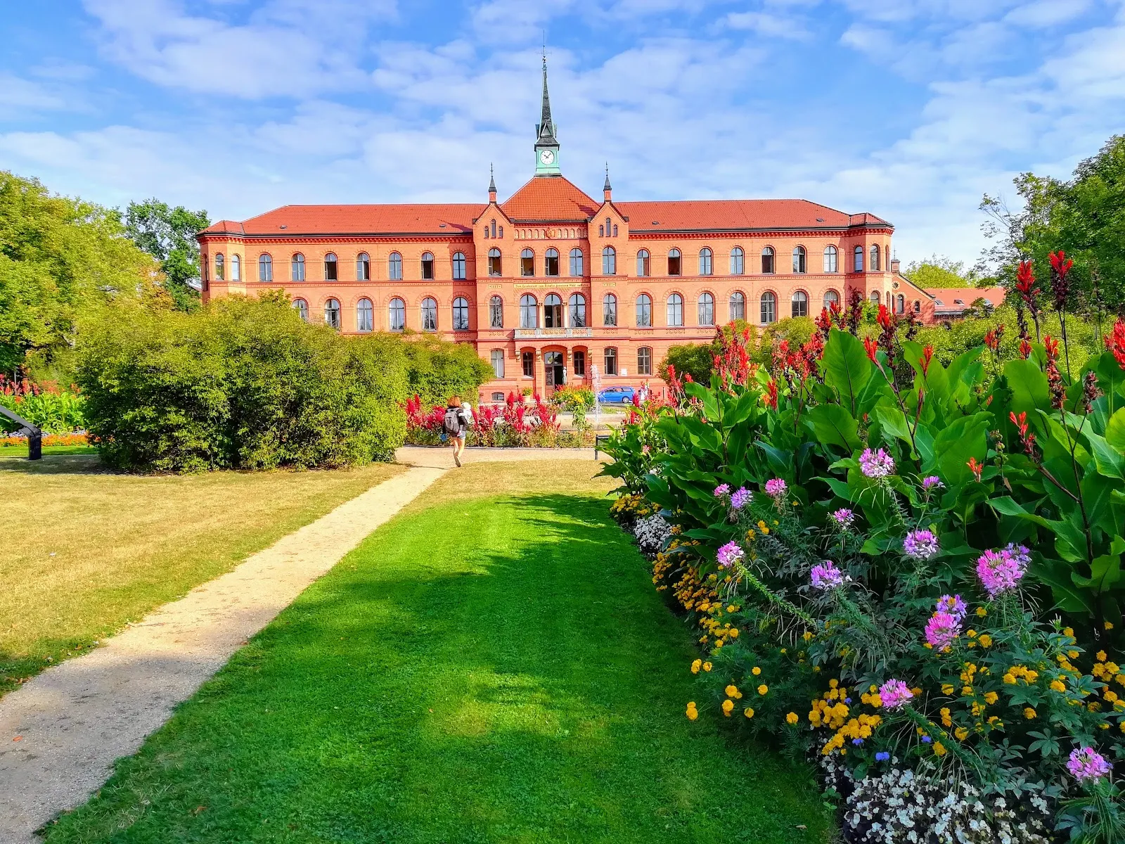 Вид на зеленую поляну в Ландшафтспарк Херцберге, Берлин