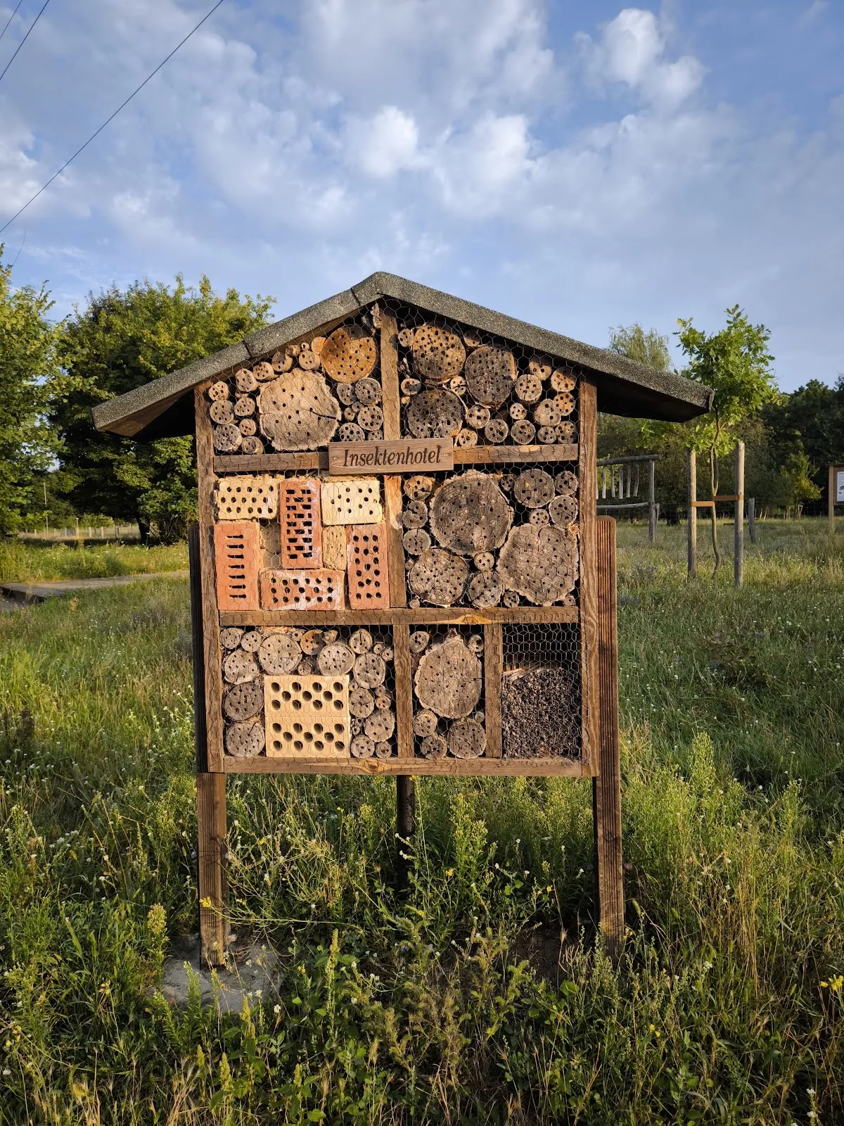 Вид на зеленую поляну в Ландшафтспарк Херцберге, Берлин