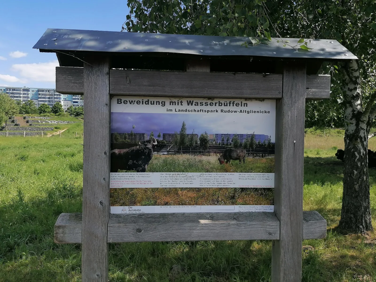 Ландшафтный парк Рудо-Альтглиникке