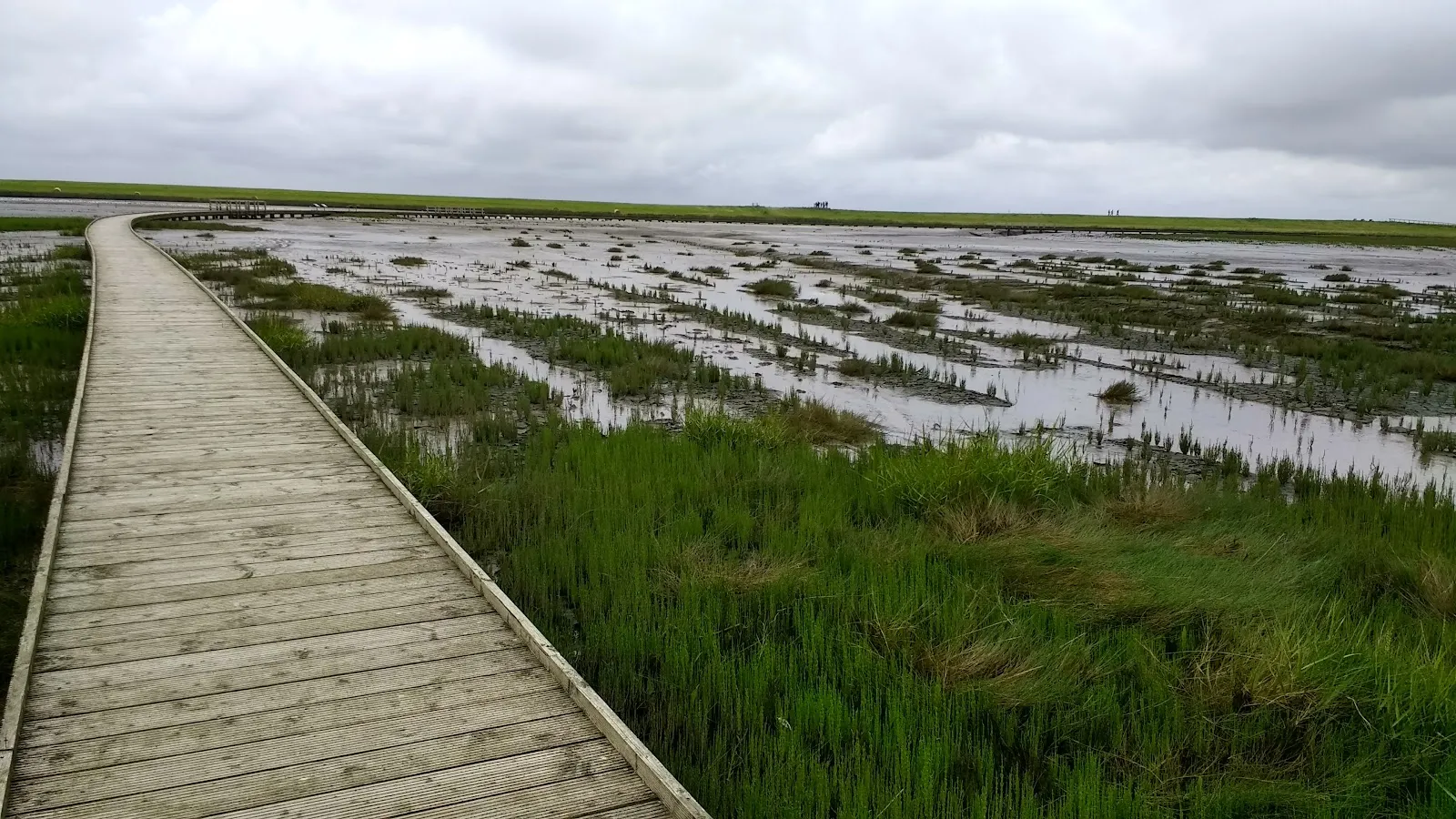 Лангвардер Гроден, Германия
