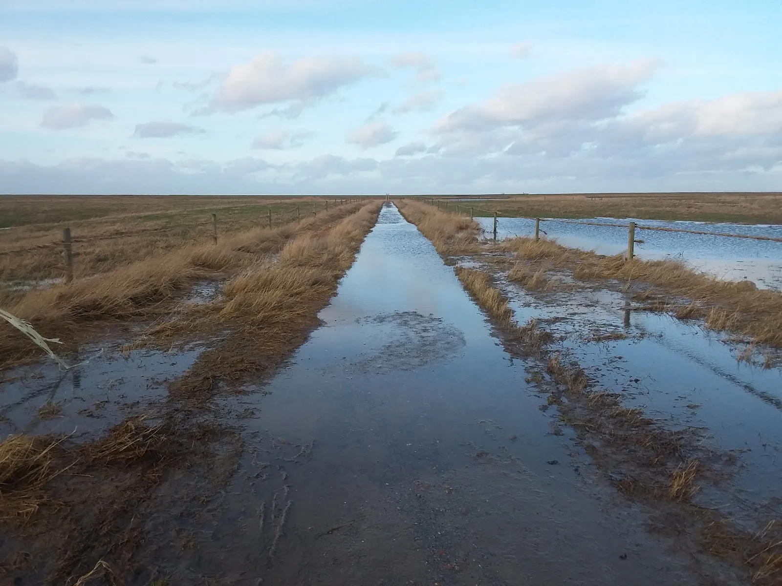 Лангвардер Гроден, Германия