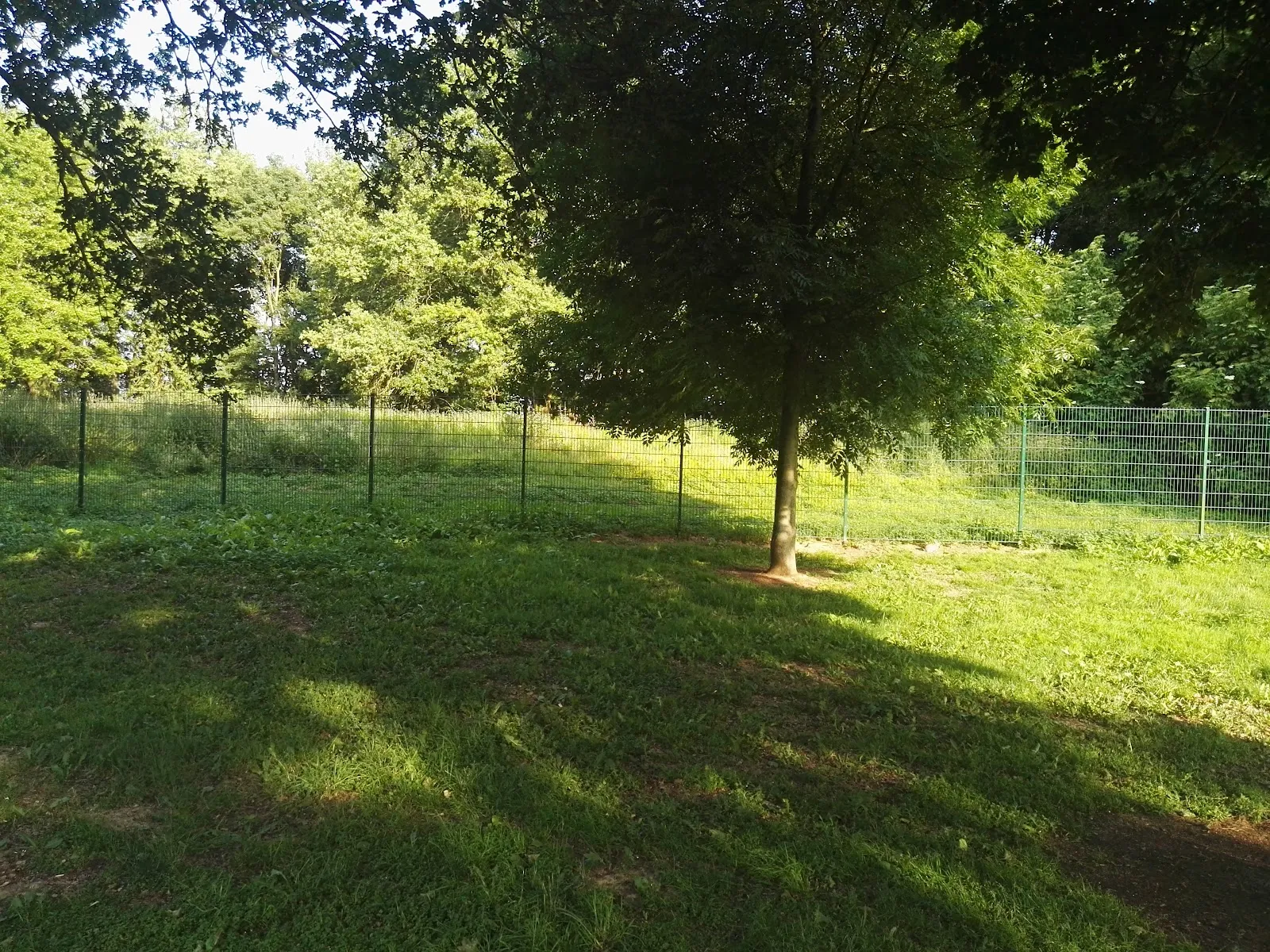 Вид на Лаунсбахское озеро с берега