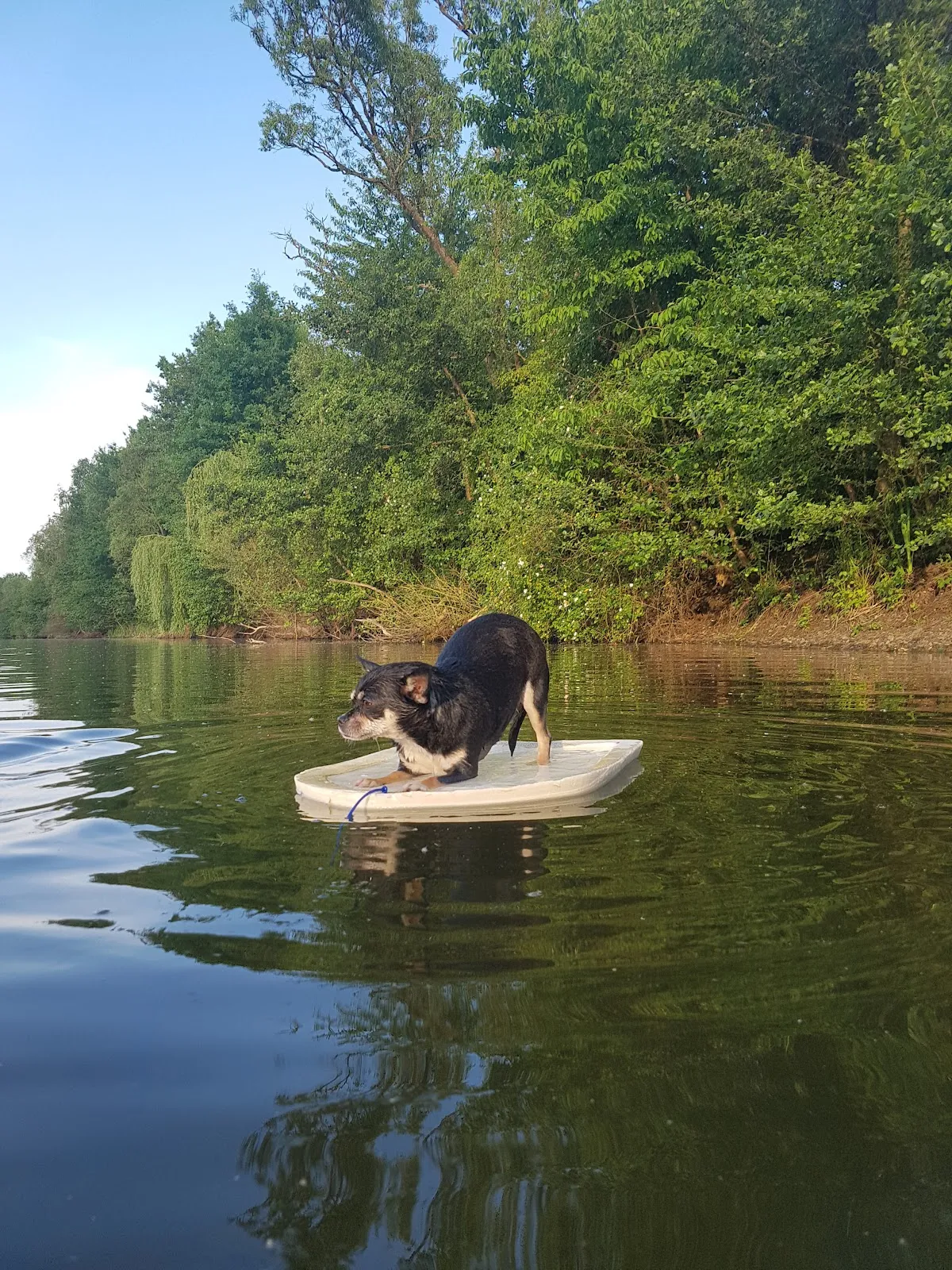 Вид на Лаунсбахское озеро с берега