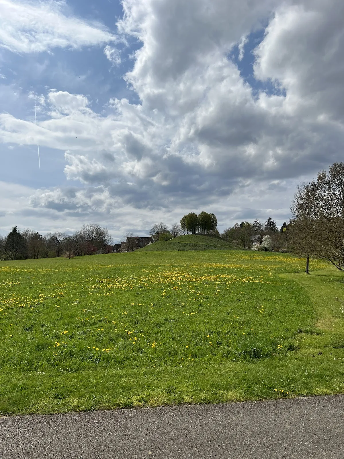 Лавандовый лабиринт в Штутгарте