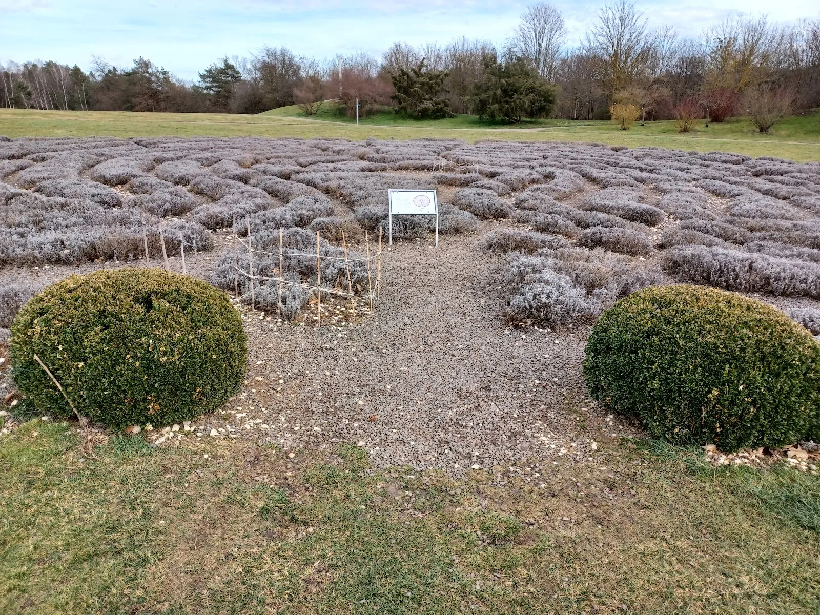 Лавандовый лабиринт в Штутгарте