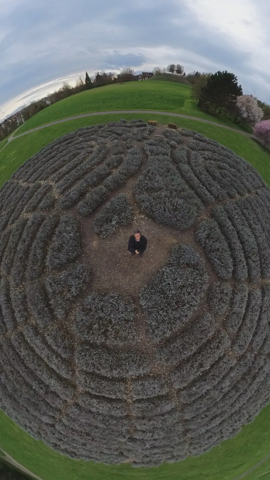 Лавандовый лабиринт в Штутгарте