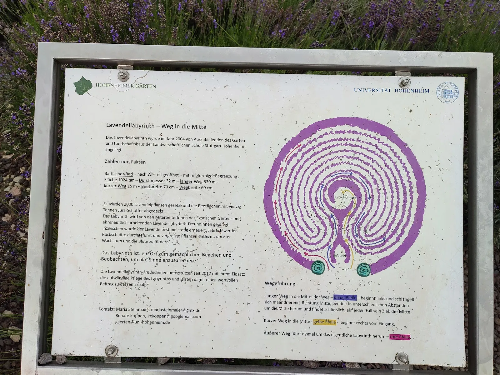 Лавандовый лабиринт в Штутгарте