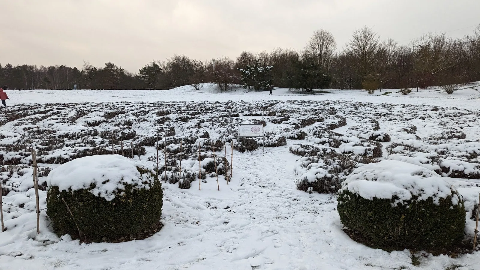 Лавандовый лабиринт в Штутгарте