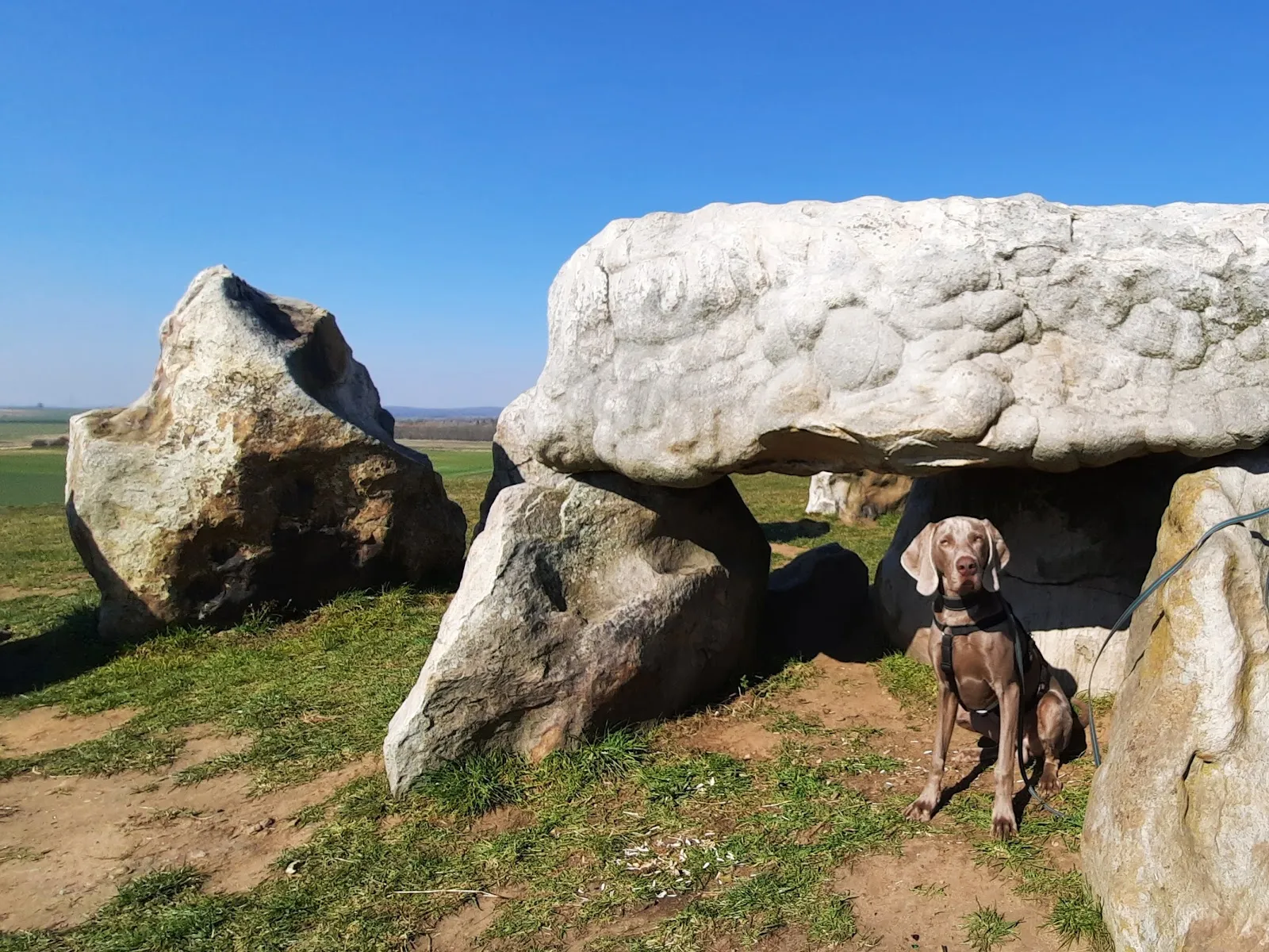Ліббенштайне – группа древних камней в поле