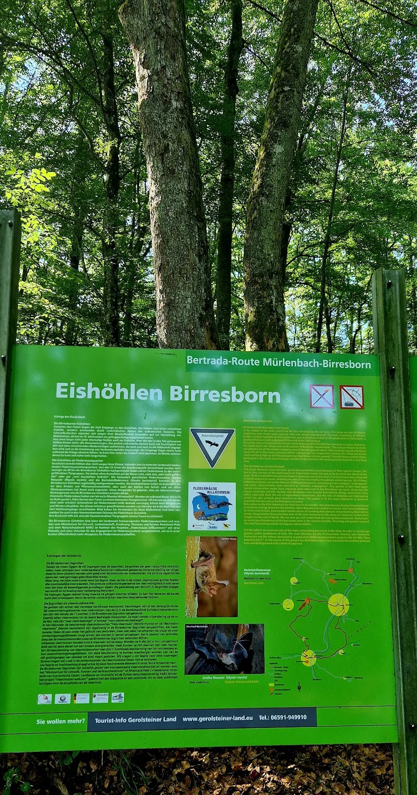 Ледяные Пещеры Биресборн