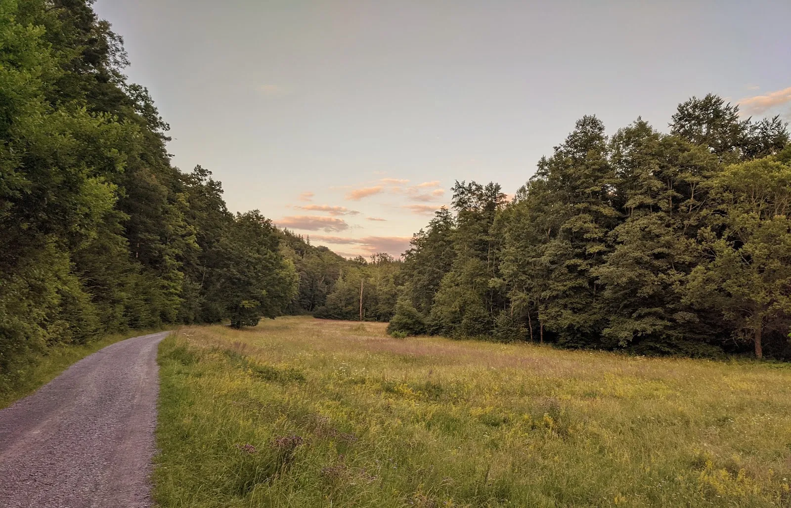 Лесная поляна в Махдентале