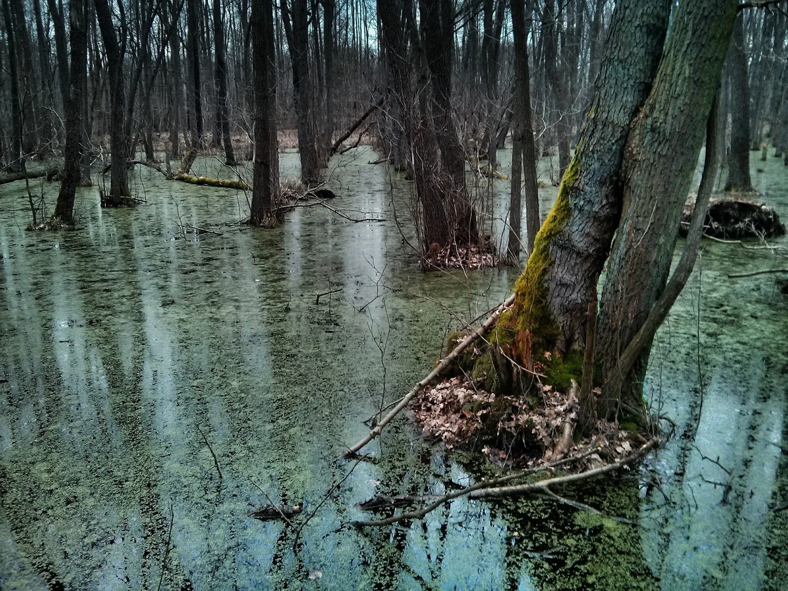 Природный парк Ленинер Вальд унд Зеенгебит, Германия