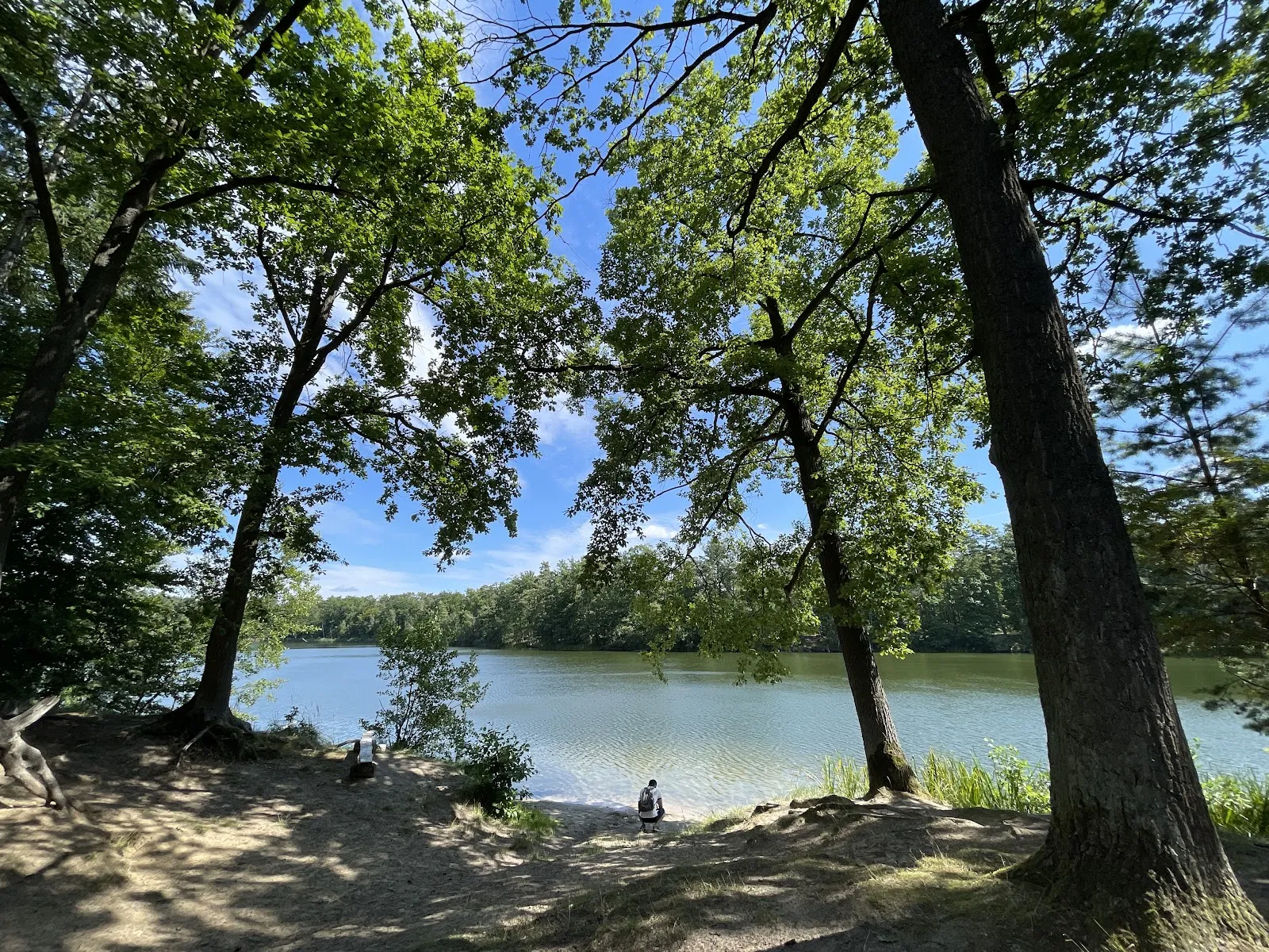 Природный парк Ленинер Вальд унд Зеенгебит, Германия
