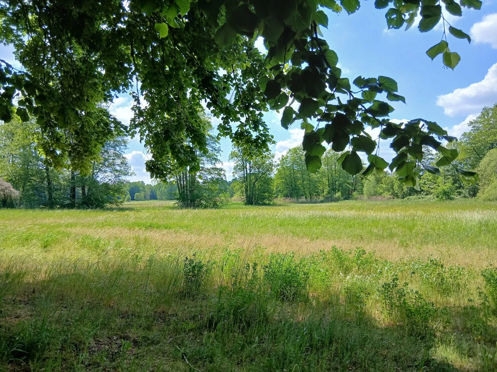 Природный парк Ленинер Вальд унд Зеенгебит, Германия