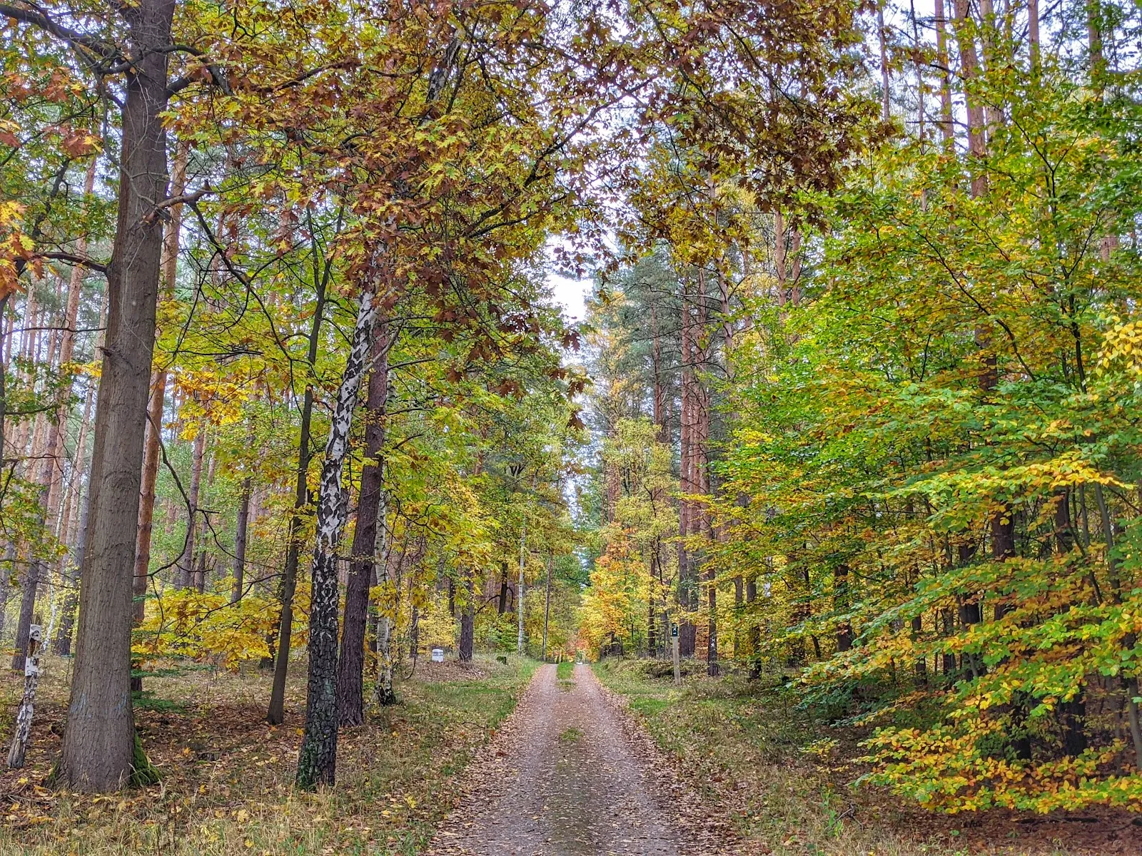 Природный парк Ленинер Вальд унд Зеенгебит, Германия