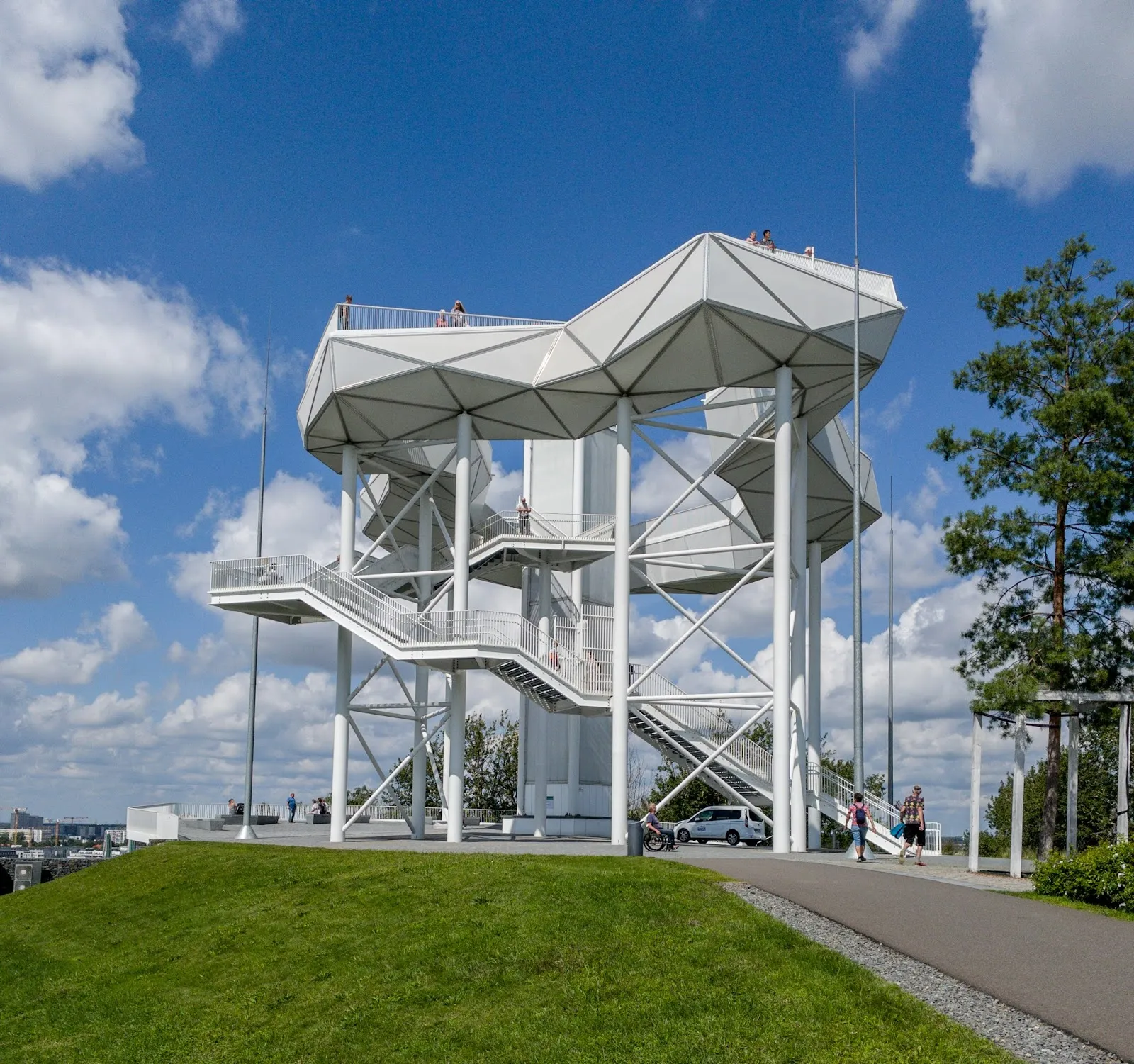 Лесной массив на горе Киенберг