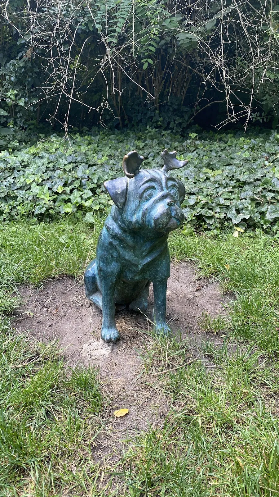 Лесной мопс в Гумбольдтхайн