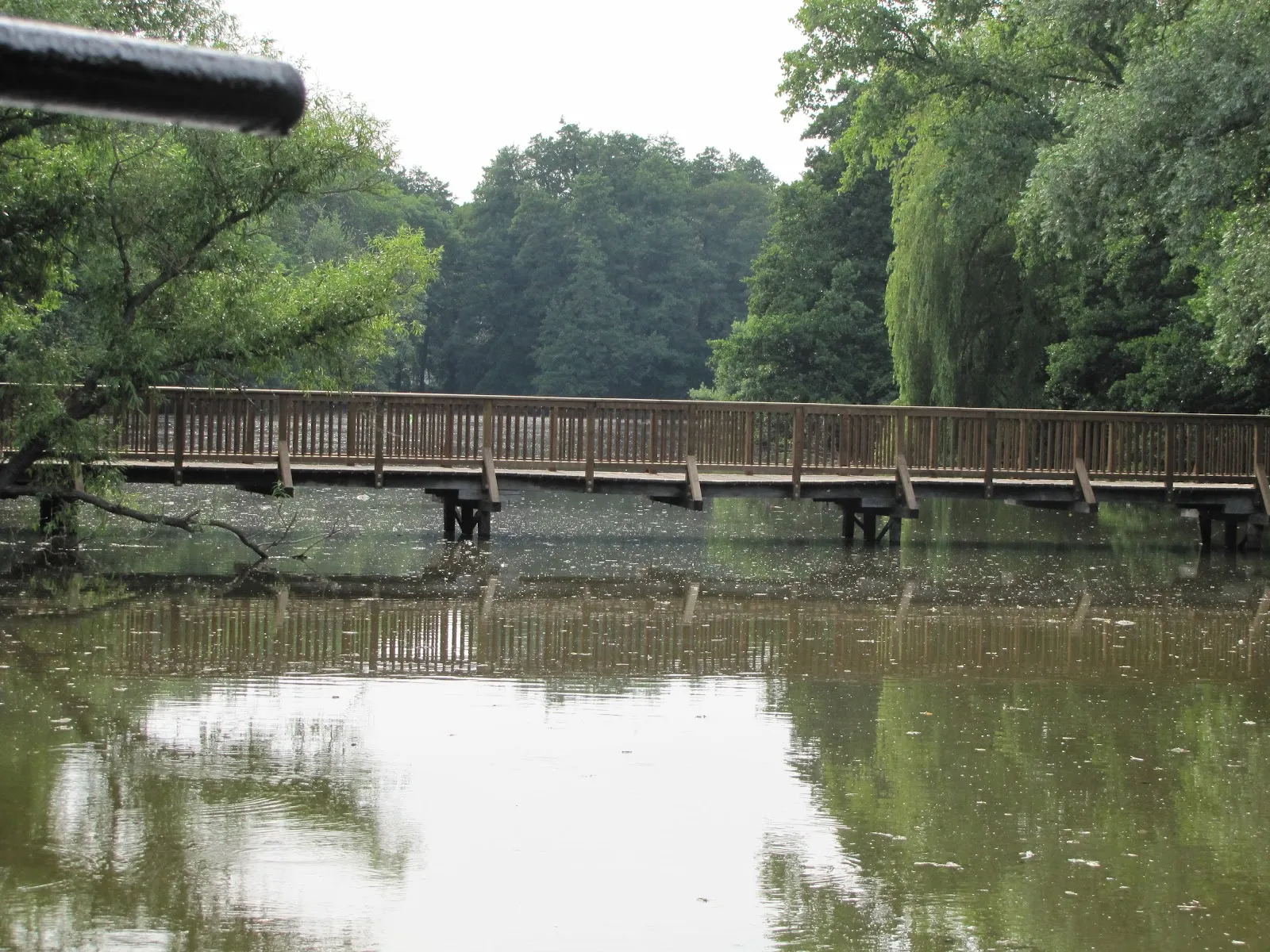 Вид на летний пляж озера Грамбкер с людьми, отдыхающими на берегу