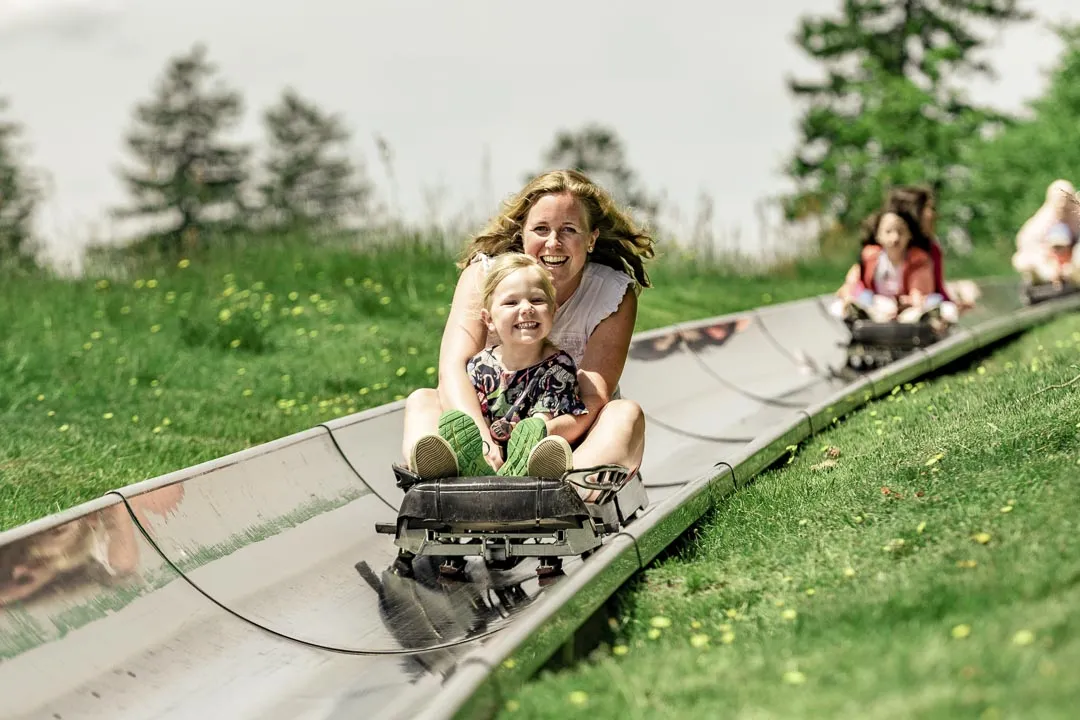 Летняя санная трасса Хоэродскопф