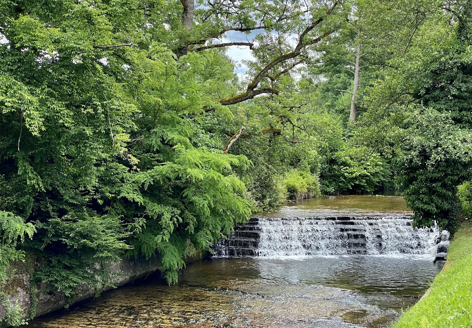 Лихтенталер Аллее