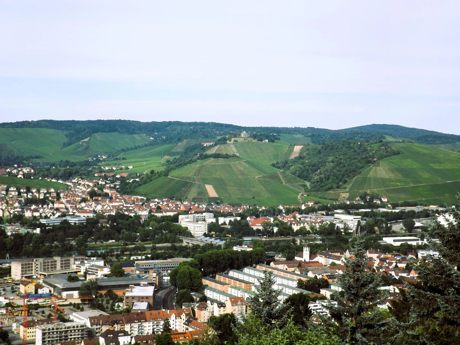 Липа Шиллера старинное дерево парк Штутгарт