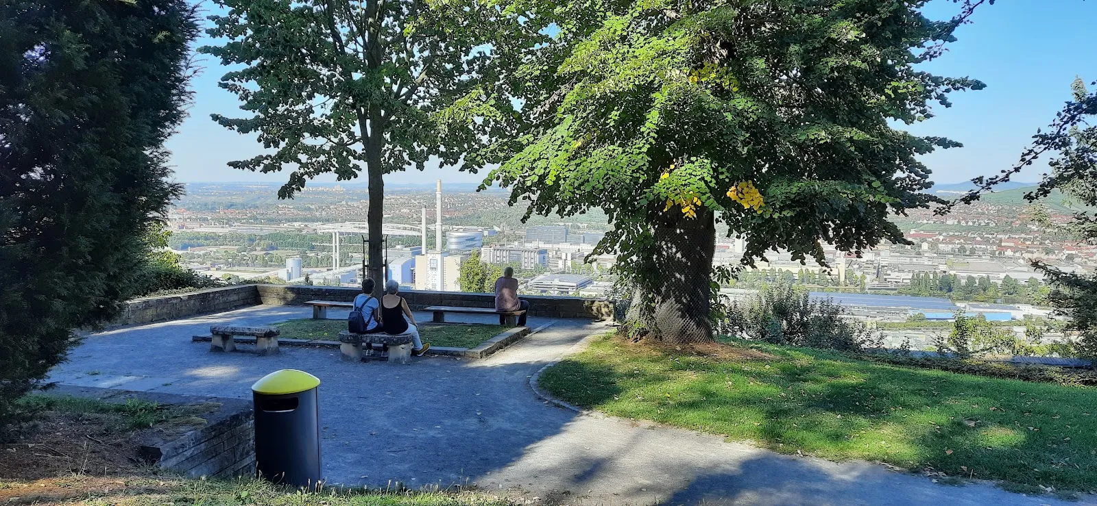 Липа Шиллера старинное дерево парк Штутгарт