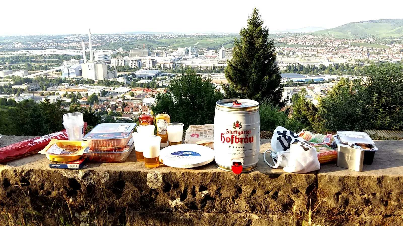 Липа Шиллера старинное дерево парк Штутгарт