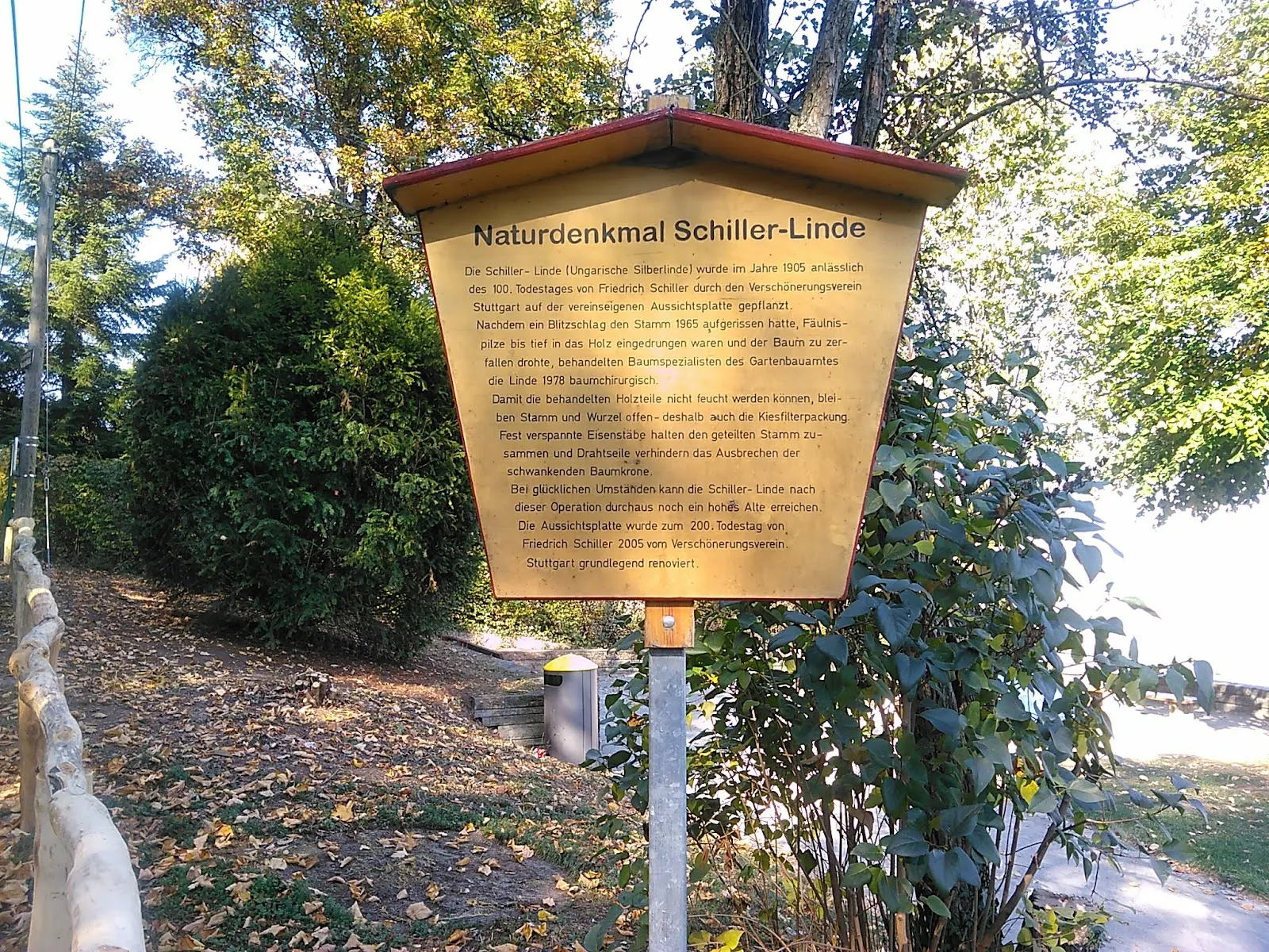 Липа Шиллера старинное дерево парк Штутгарт