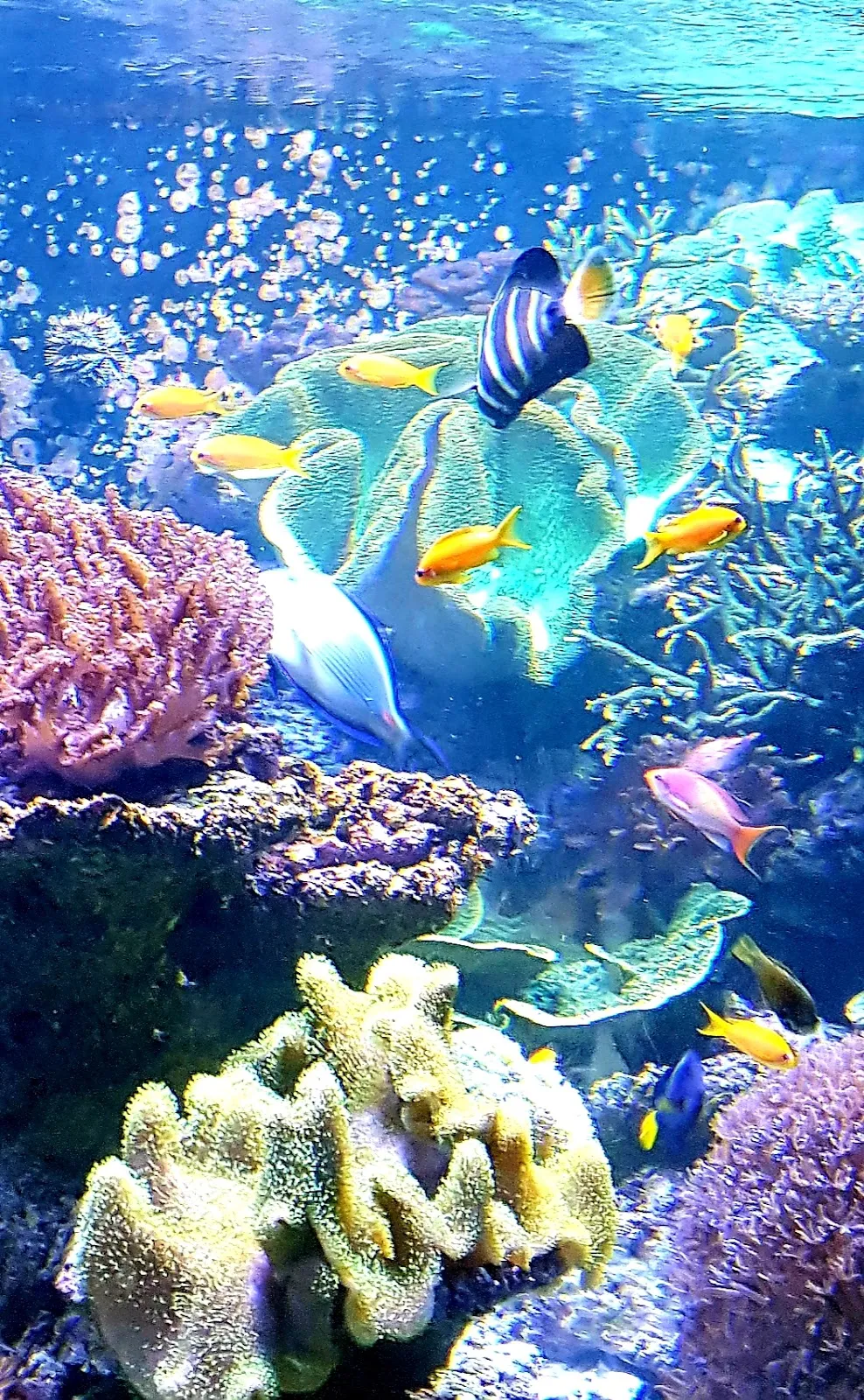 Луизенпарк