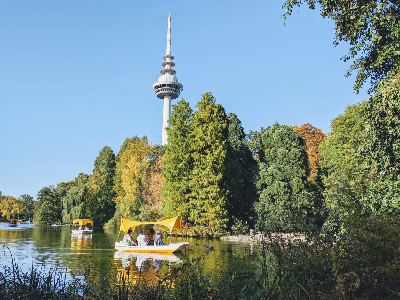 Луизенпарк Мангейм