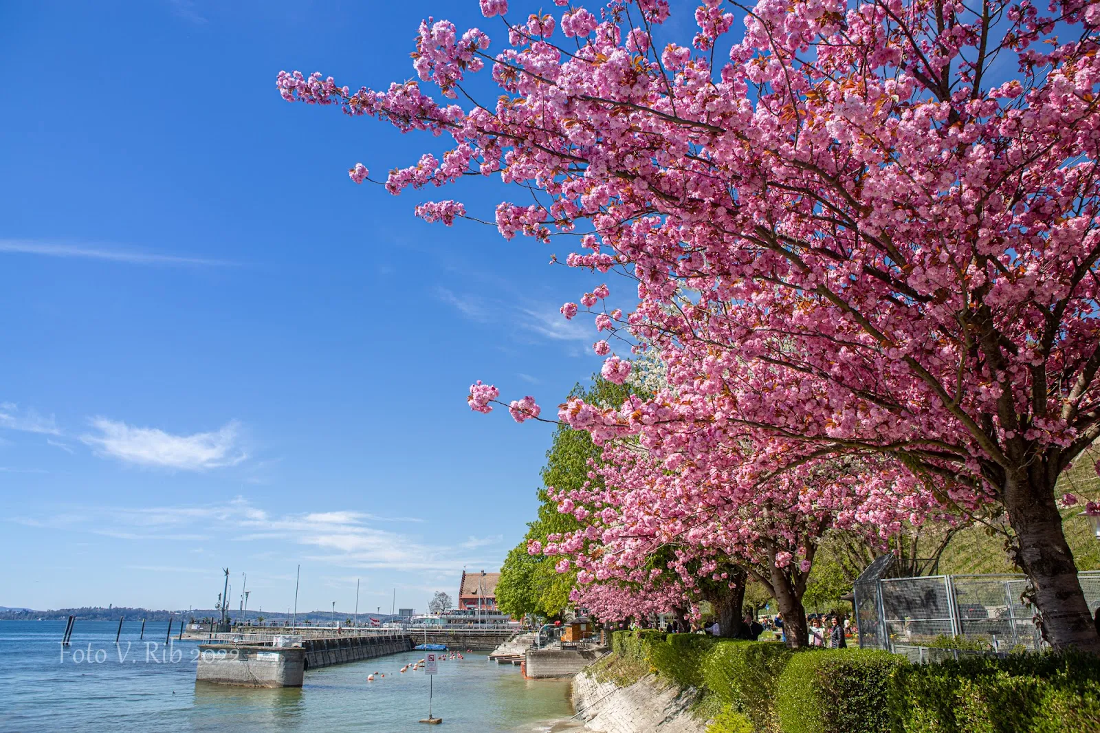 Магическая колонна на набережной в Мёрсбурге, Германия