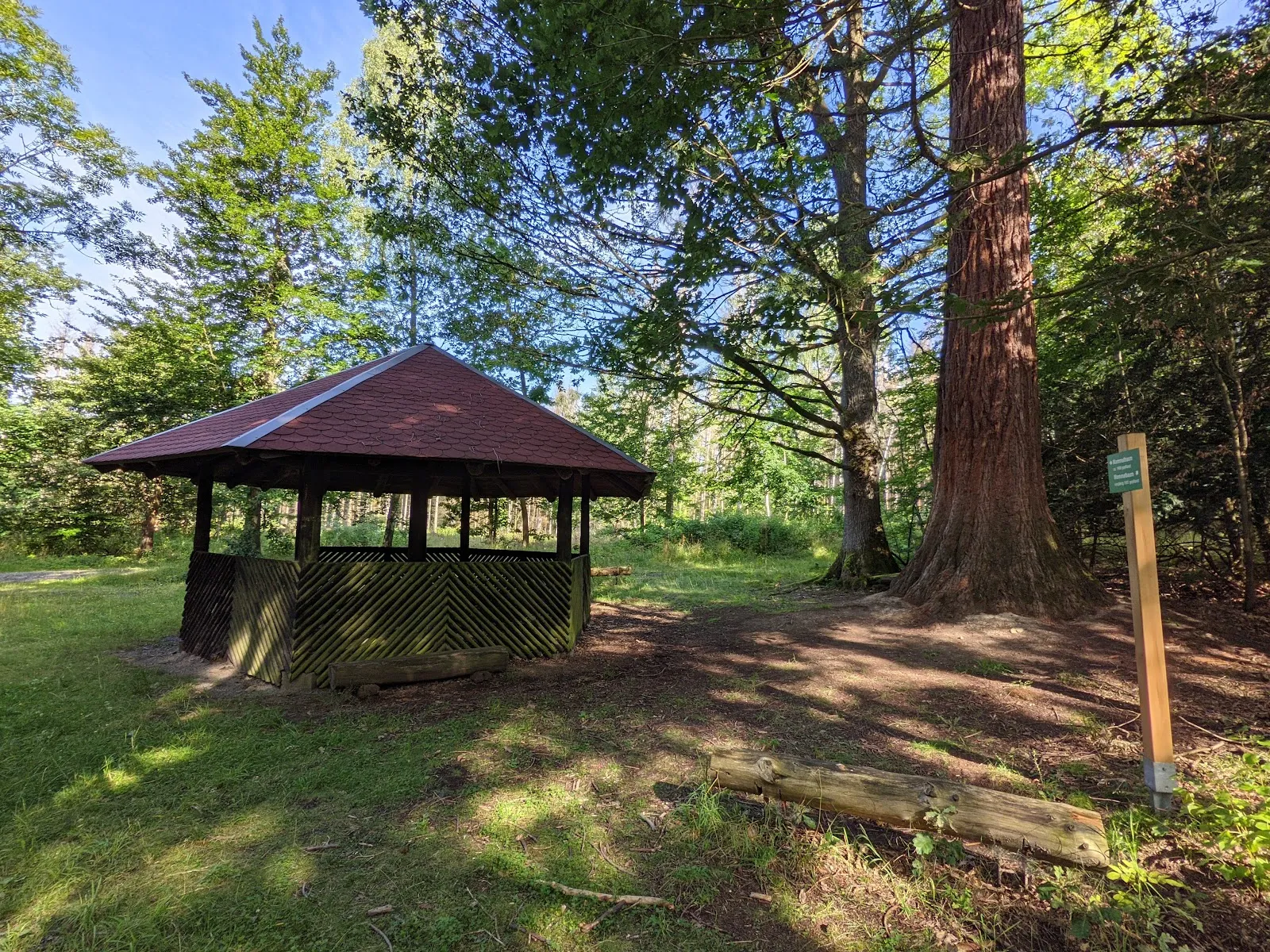 Мамонтово дерево Бад-Вильдунгена