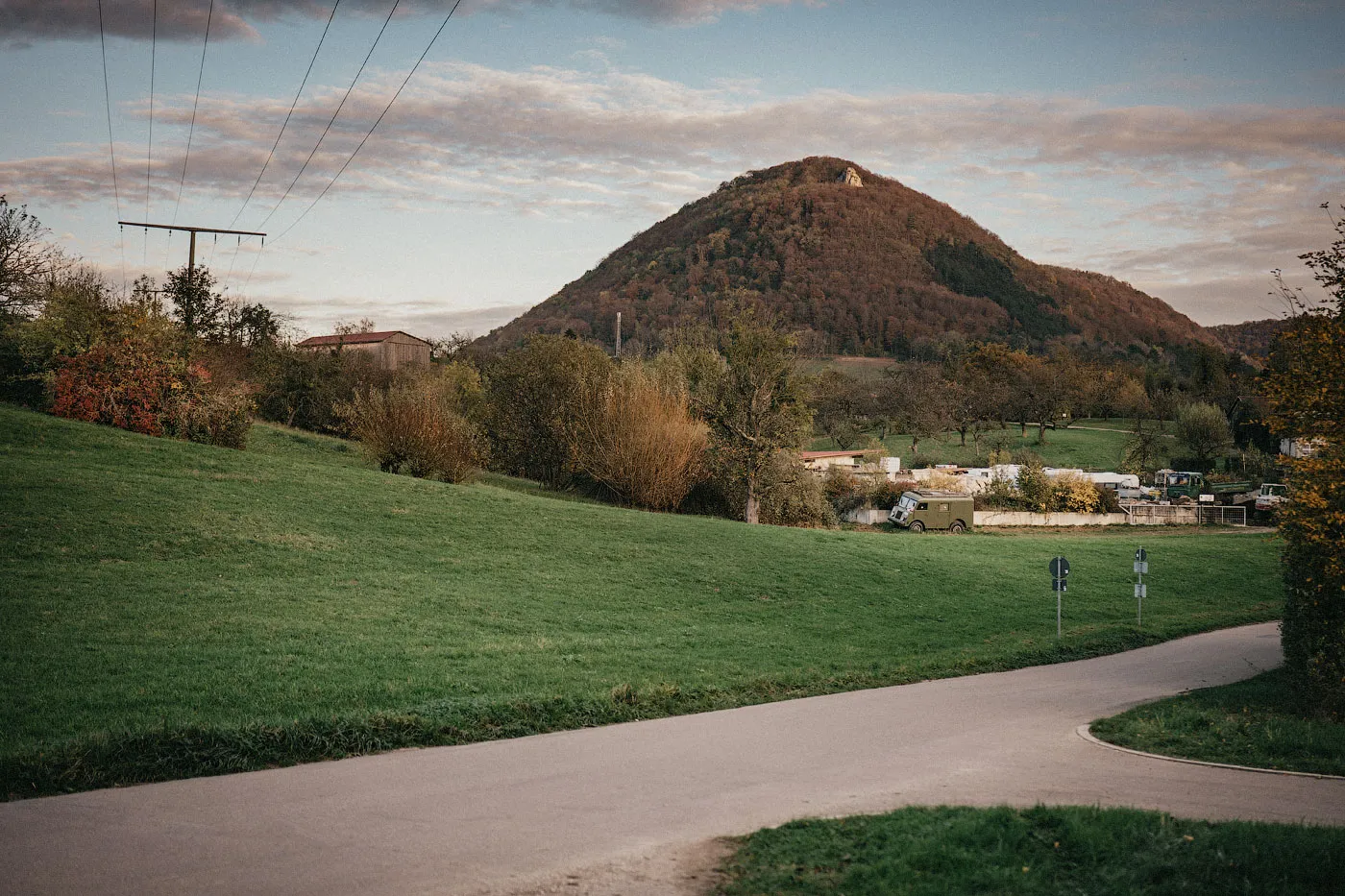 Огромное мамонтово дерево в Беурене, Германия, с раскидистой кроной.