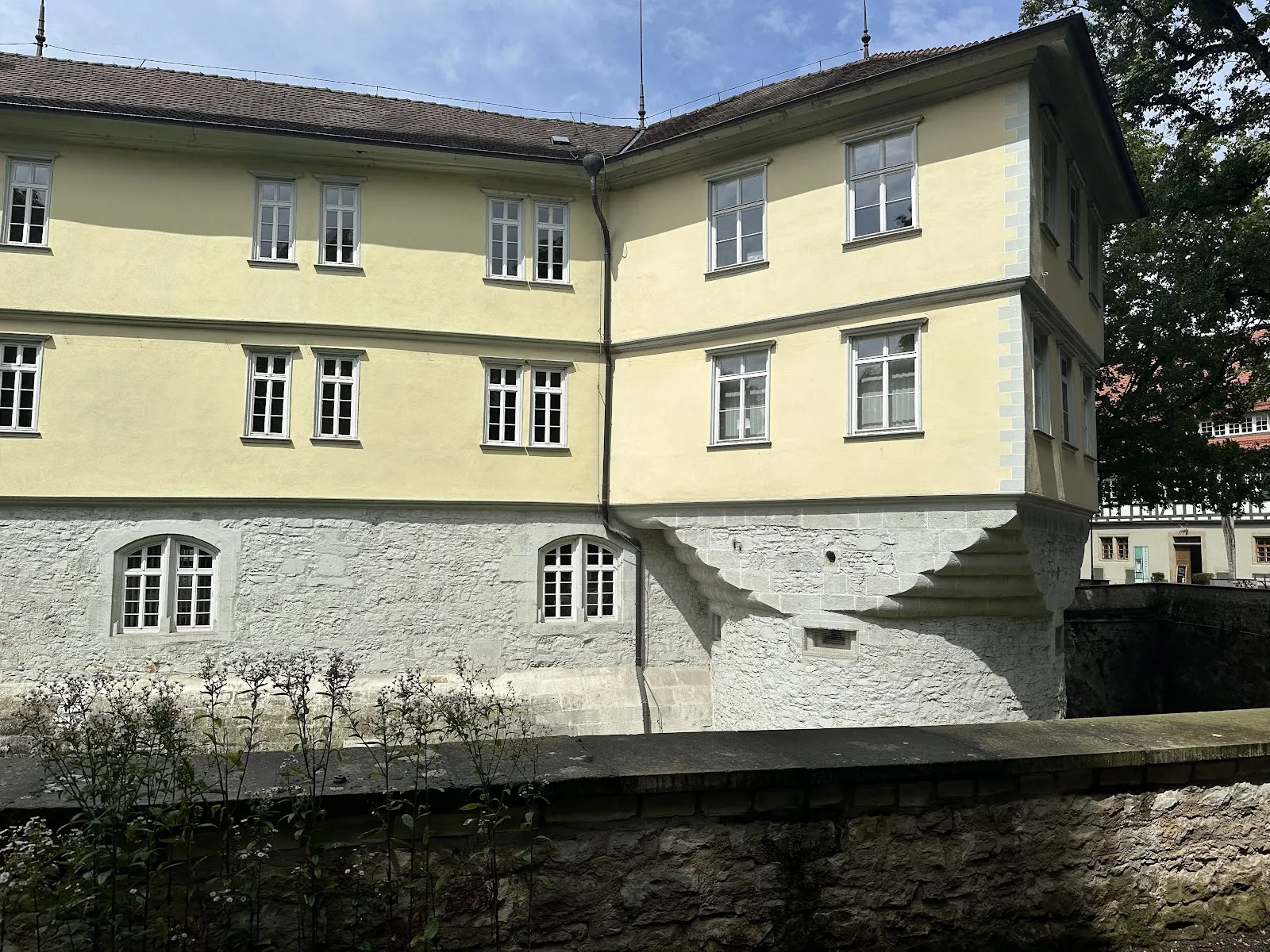 Цветущие растения в Маршталльгартене