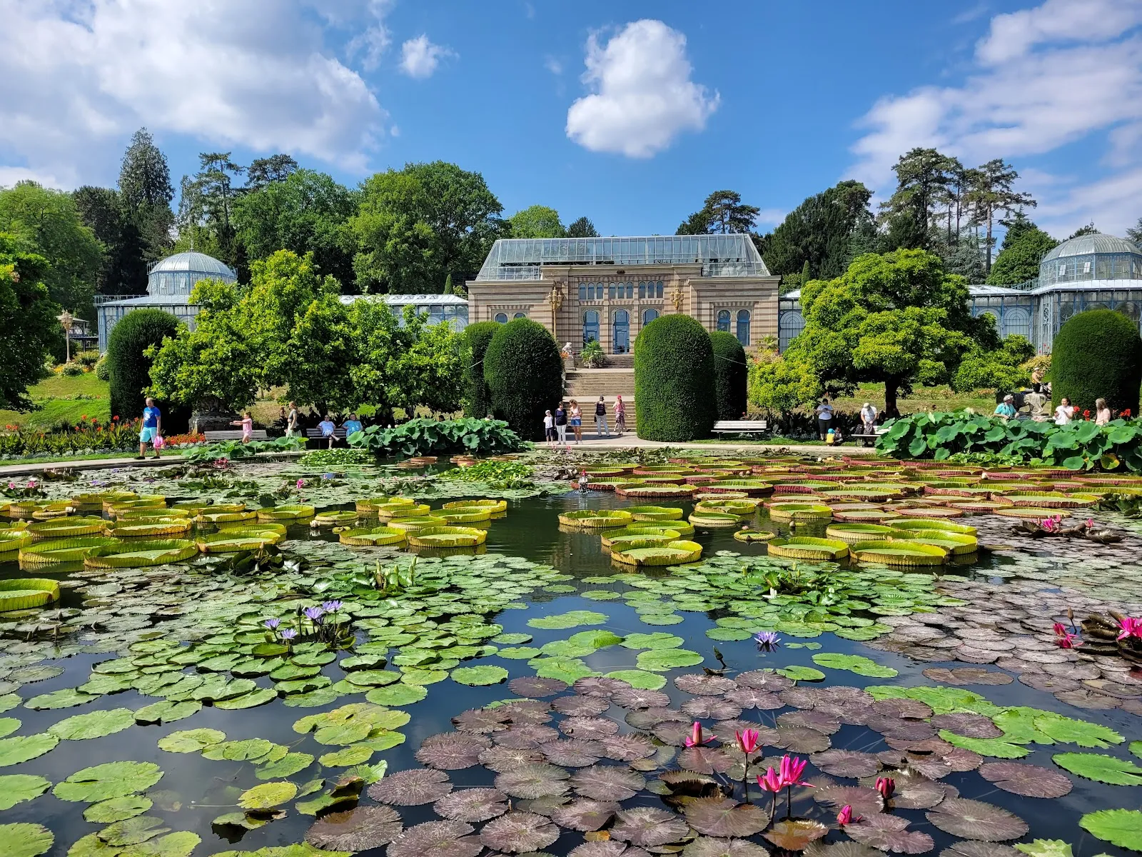 Мавританский сад