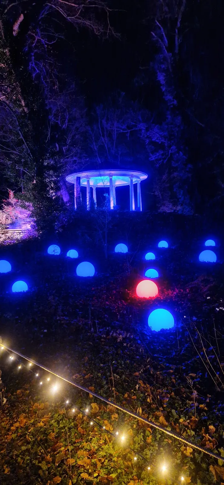 Бурый медведь в зоопарке 