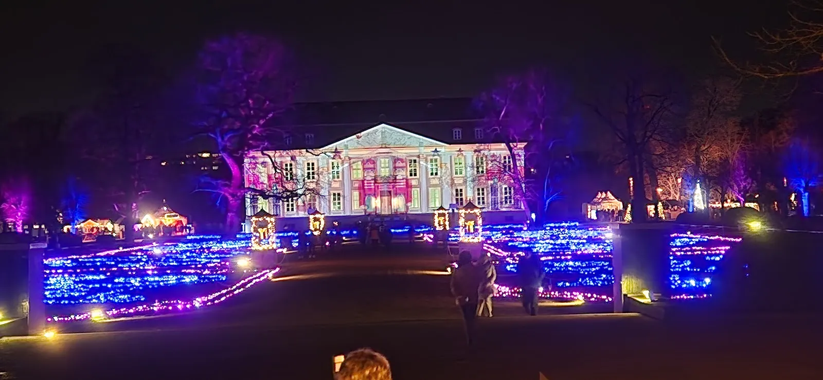 Бурый медведь в зоопарке 