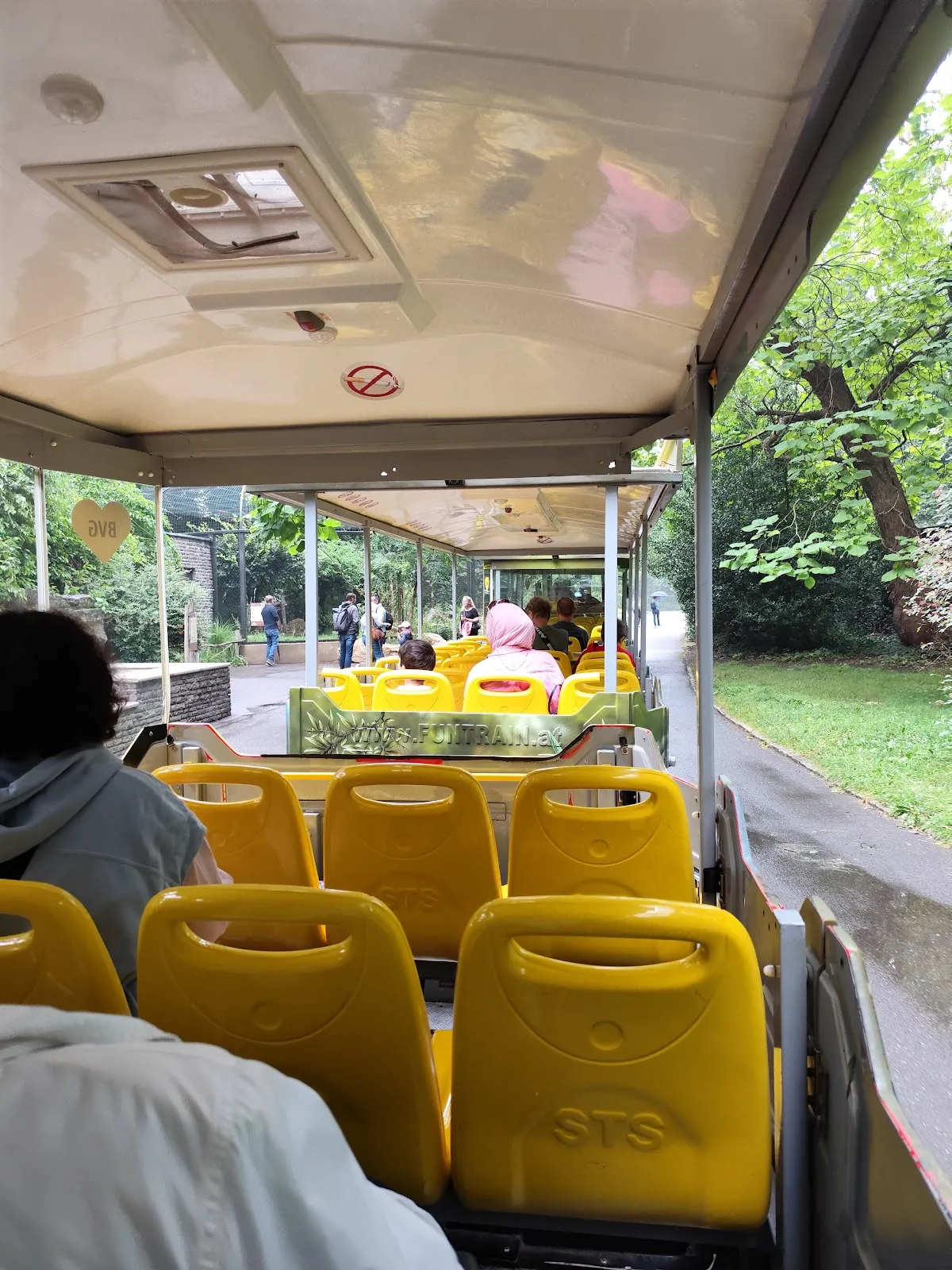 Бурый медведь в зоопарке 