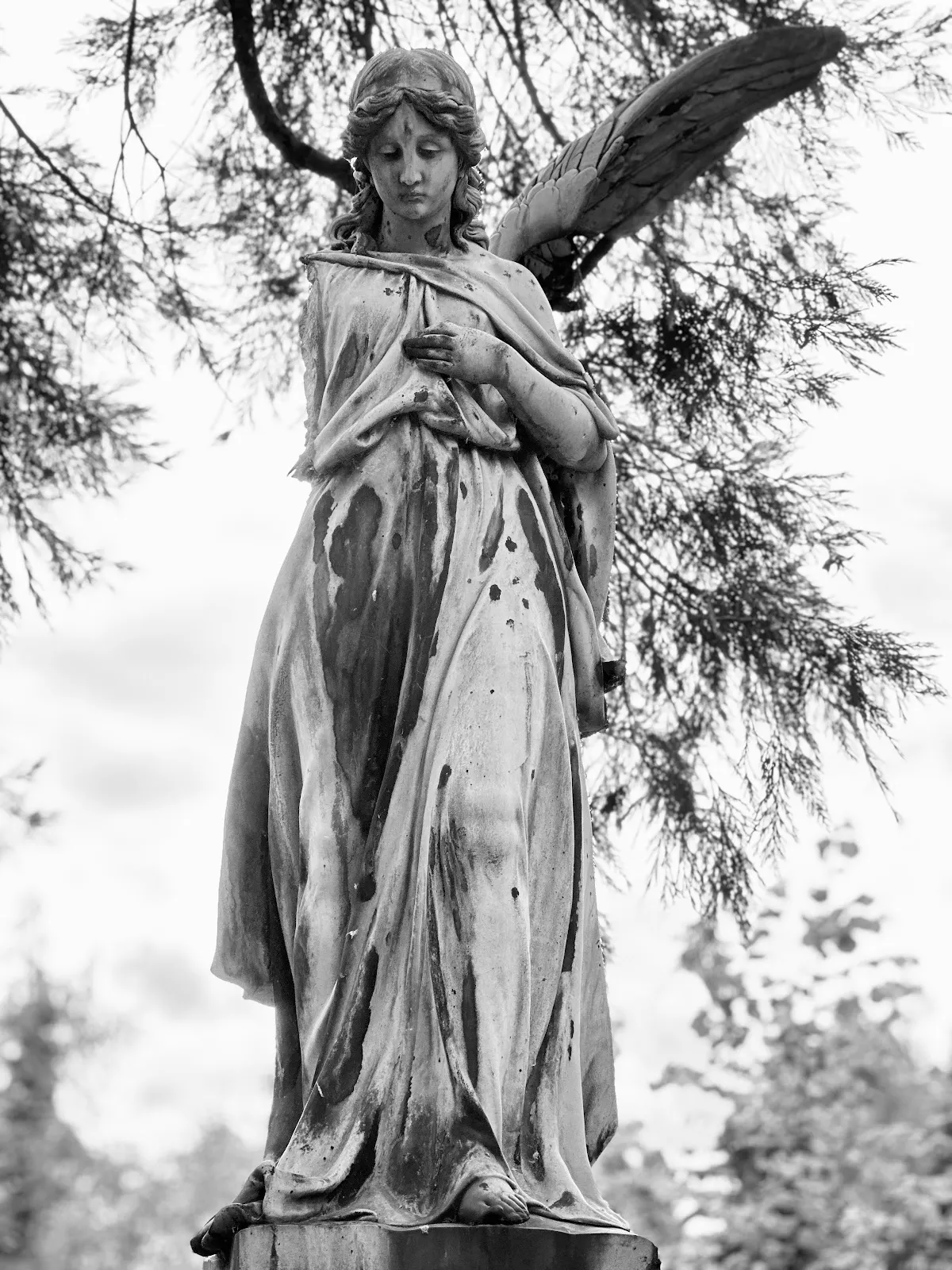 Вид на аллею кладбища Мелатен в Кёльне