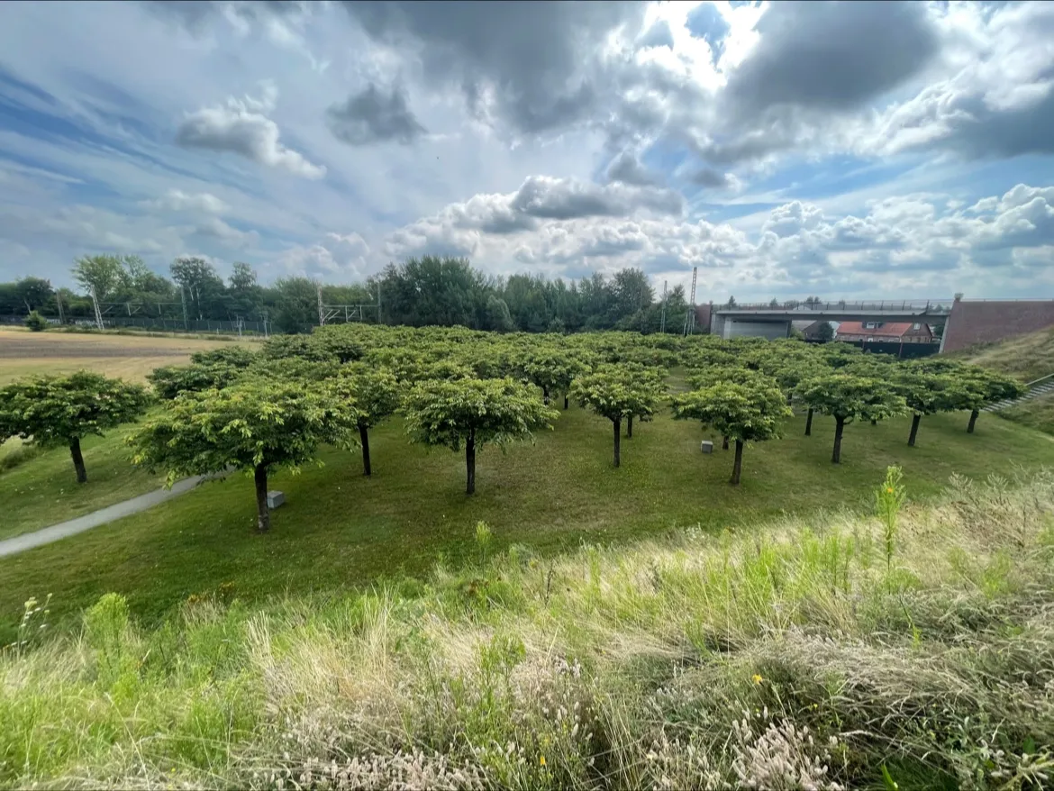 Мемориал Эшеде - Место Памяти