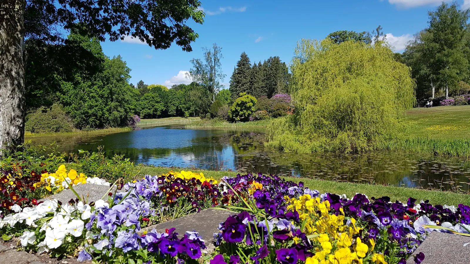 Мемориал жертвам нацизма на кладбище Штёккен