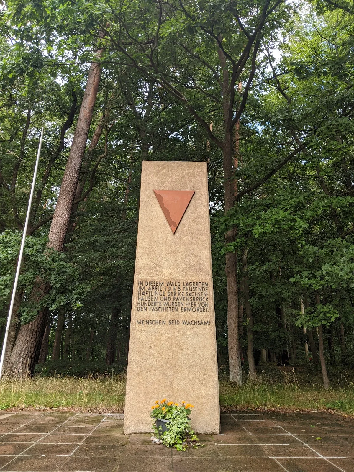 Мемориальный лес Беловер Данн, Германия, памятник, деревья, тропинка